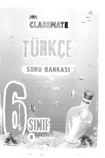 CLASSMATE TÜRKÇE SORU BANKASI YKS Fotokopi