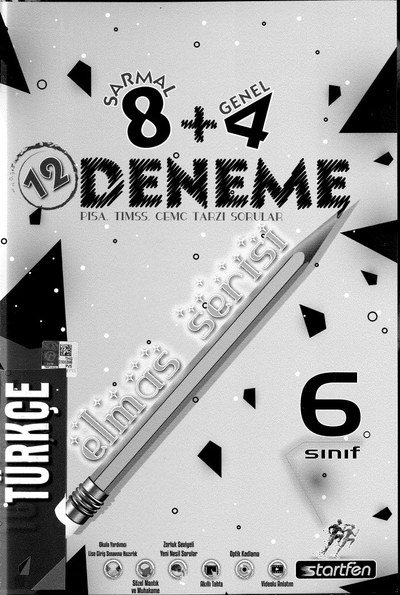 12 DENEME ELMAS SERİSİ TÜRKÇE YKS Fotokopi