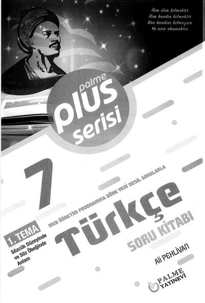 PLUS SERİSİ TÜRKÇE SORU KİTABI YKS Fotokopi