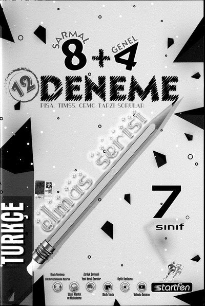 12 DENEME ELMAS SERİSİ TÜRKÇE YKS Fotokopi