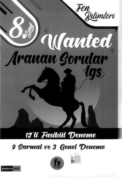 WANTED ARANAN SORULAR LGS 12'Lİ FASİKÜL DENEME YKS Fotokopi