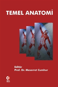 Temel Anatomi ODTÜ Yayıncılık Akademi YKS Fotokopi