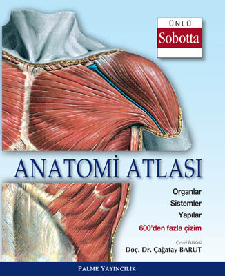 Anatomi Atlası (Sobotta Çizimleri) Palme Yayıncılık YKS Fotokopi