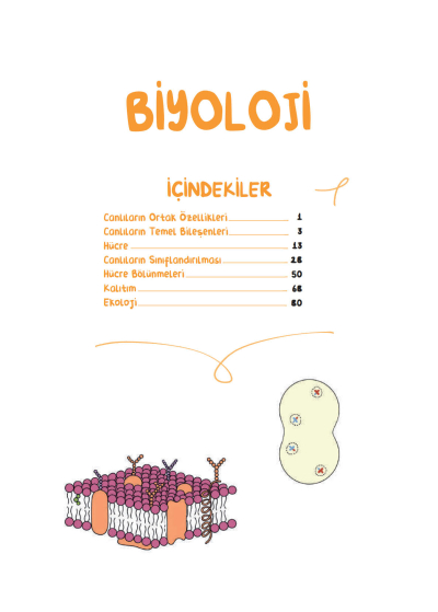 TYT Biyoloji Vip Notlar Vin Kampüs