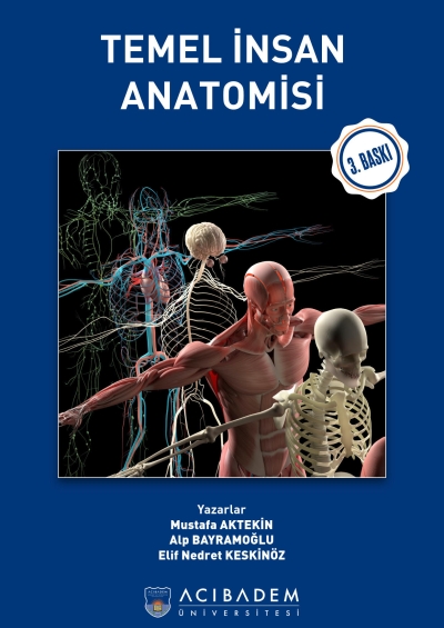 Temel İnsan Anatomisi Acıbadem Üniversitesi YKS Fotokopi