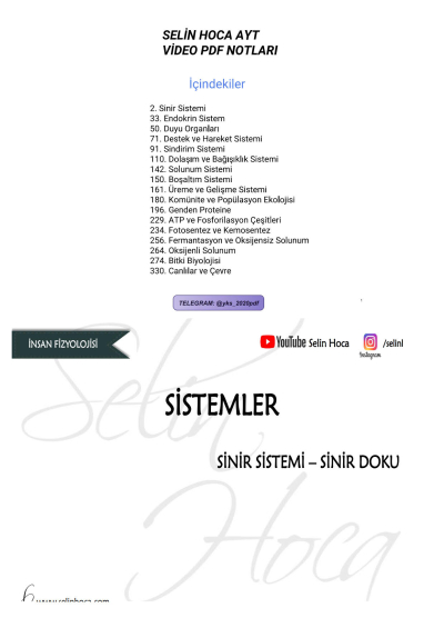 SELİN HOCA AYT YKS Fotokopi